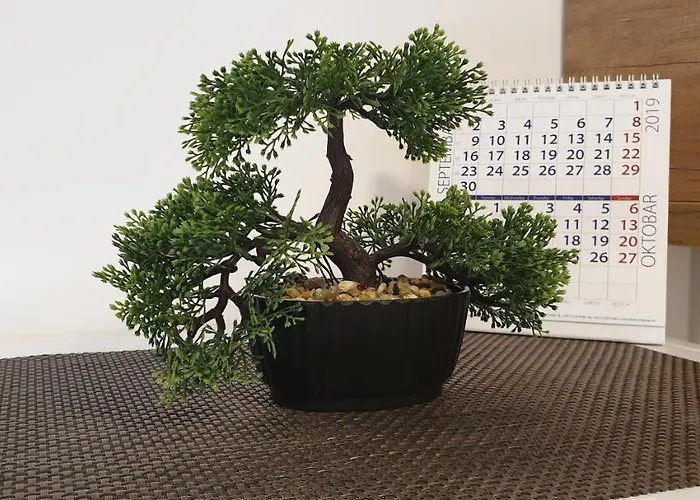 Апартаменты Mina *