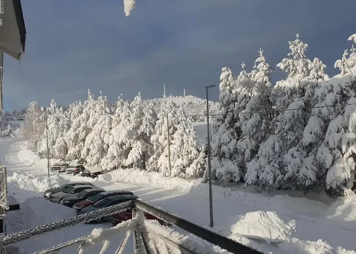 Апартаменты Mina